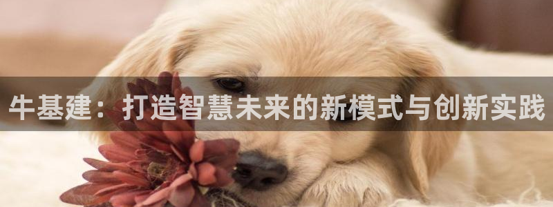 和记体育买球官网