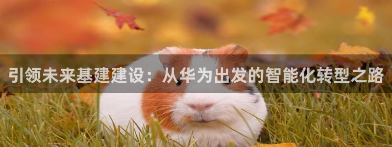和帆记加盟官网
