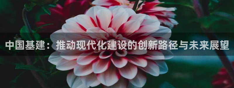 和记h188怡情官网