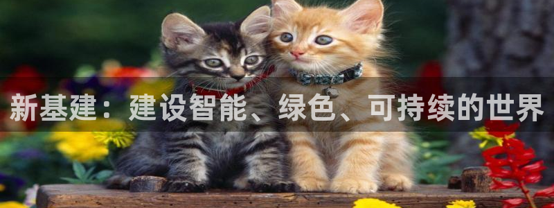 和记奥普泰 官网