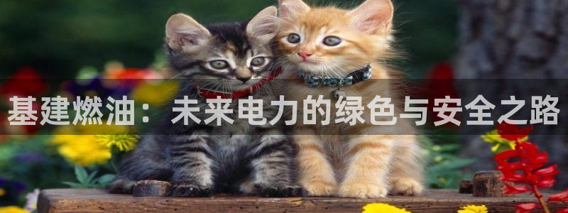 和记娱乐唯一官网